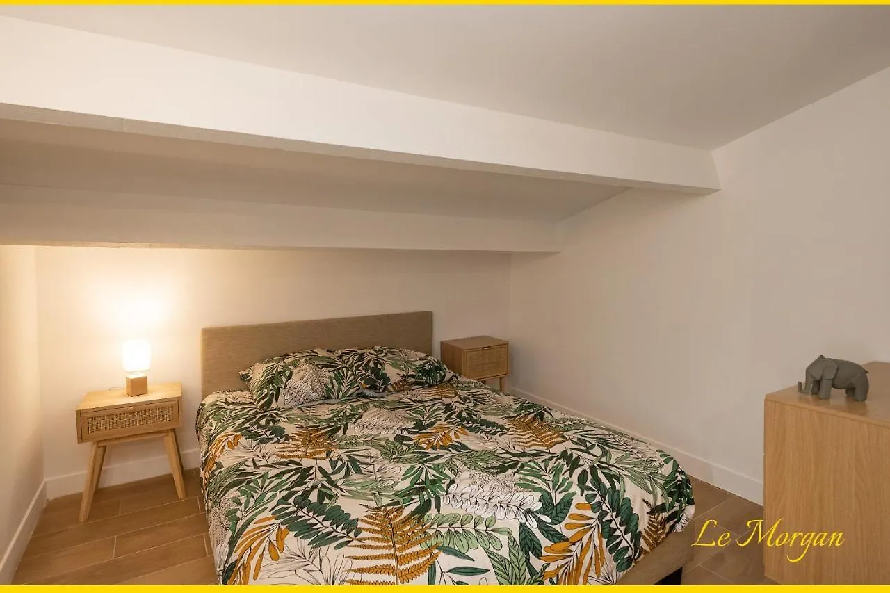 Le Morgan - Magnifique Appartement Cours Principal Plein Centre Avec Parking contacts